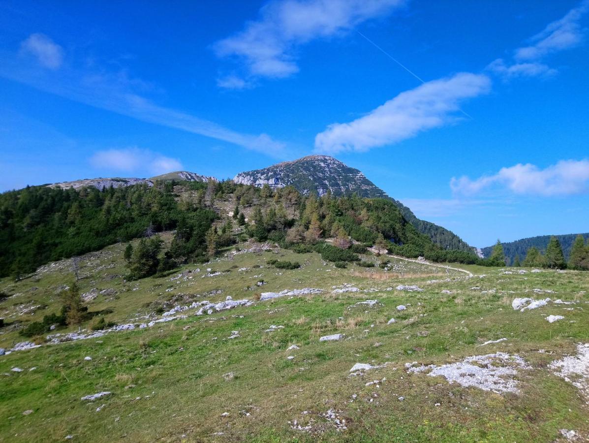 Ferienwohnungen Gerti Klopein am Klopeiner See Exterior photo